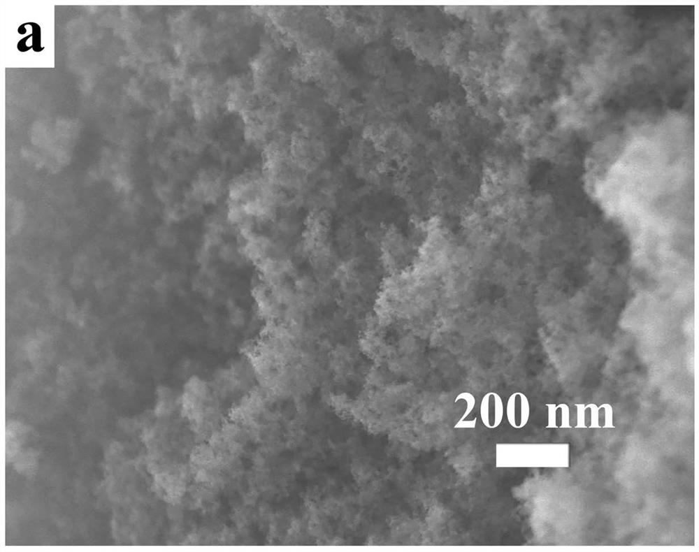 A kind of barium stannate composite silica airgel powder and preparation method thereof