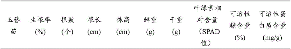 Method for acquiring fragrant plantain lily herb rooting seedlings by LED (light-emitting diode) light sources