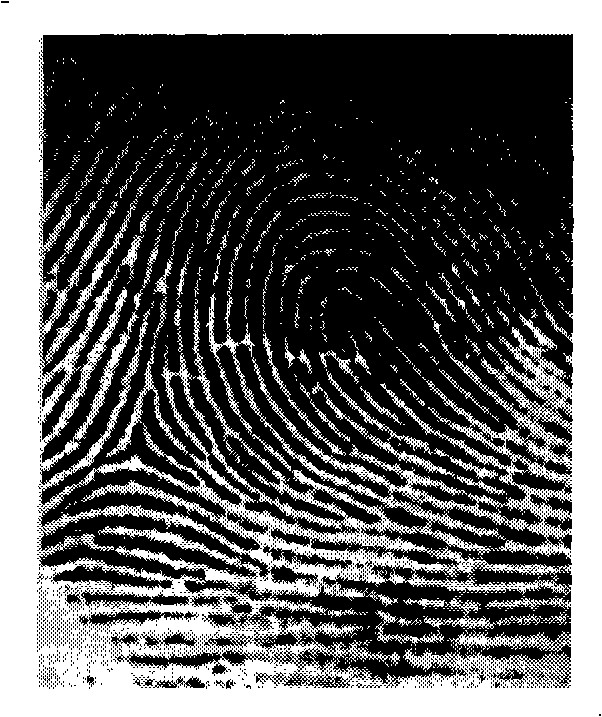 Direction filtering reinforcement method of fingerprint image