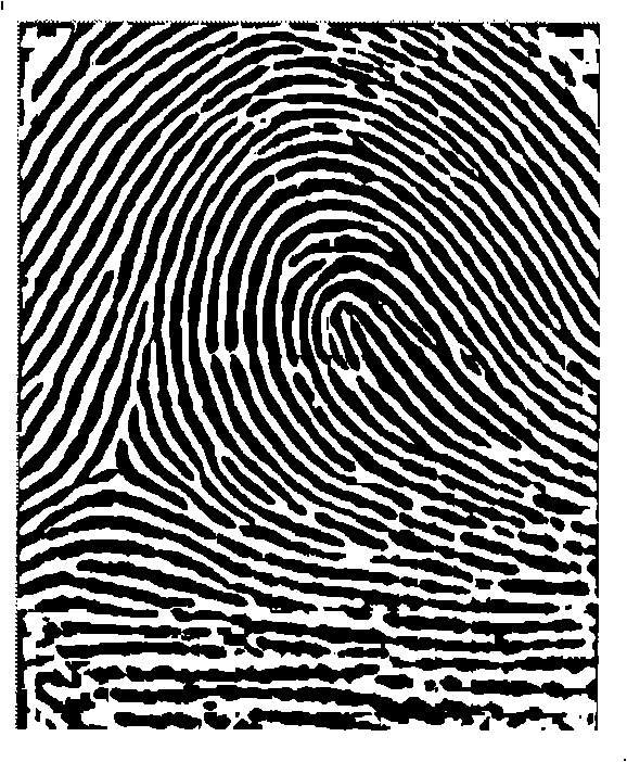 Direction filtering reinforcement method of fingerprint image