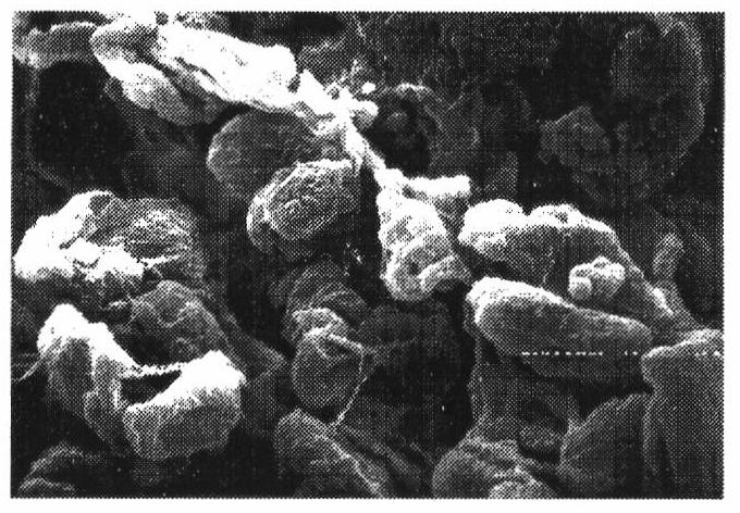 Modified polytetrafluoroethylene (PTFE) and preparation method and application thereof