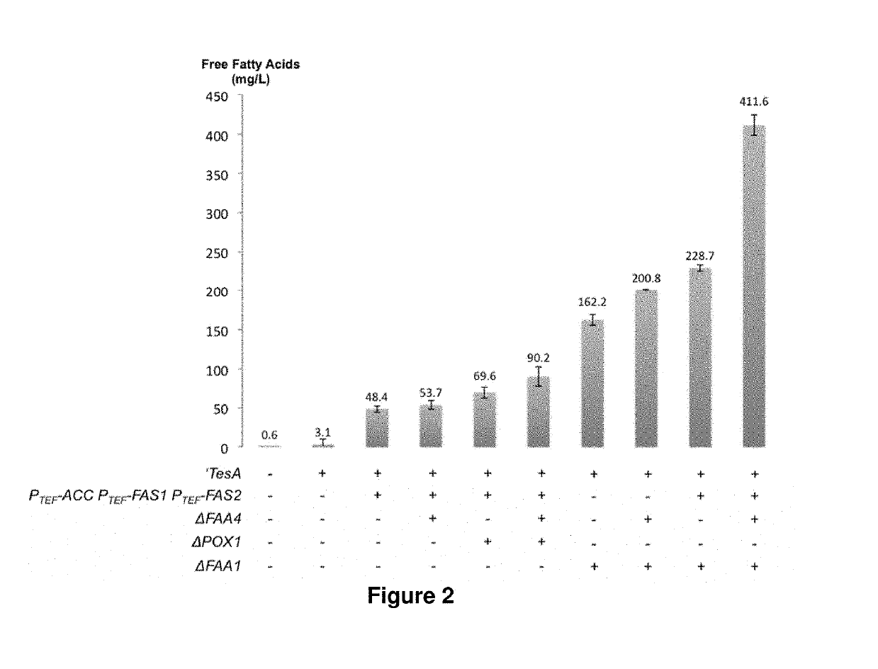 Yeast cell modified to overproduce fatty acid and fatty acid-derived compounds