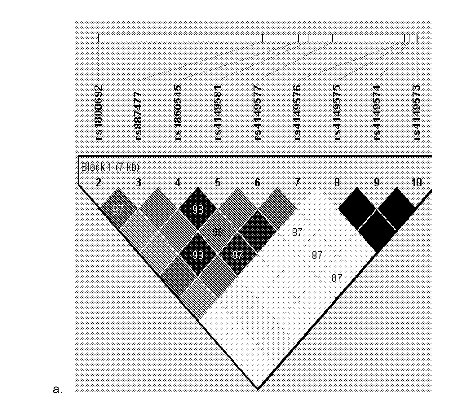 Markers and methods for assessing and treating severe or persistant asthma and TNF related disorders