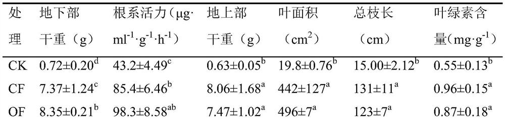 Preparation method and application of trichoderma bio-organic fertilizer special for blueberries