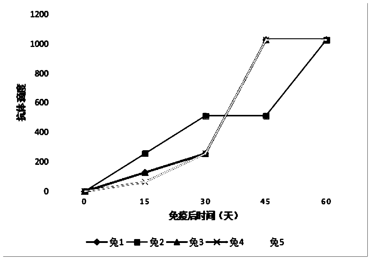 Borrelia garinii OspA protein C-terminal peptide fragment and application thereof