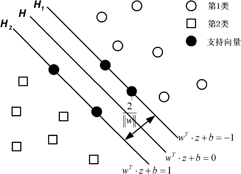 Low-dimensional nano material identification method based on SEM image