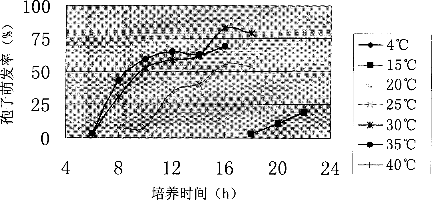 Method for producing chlamydospore by trichoderma liquid deep fermentation