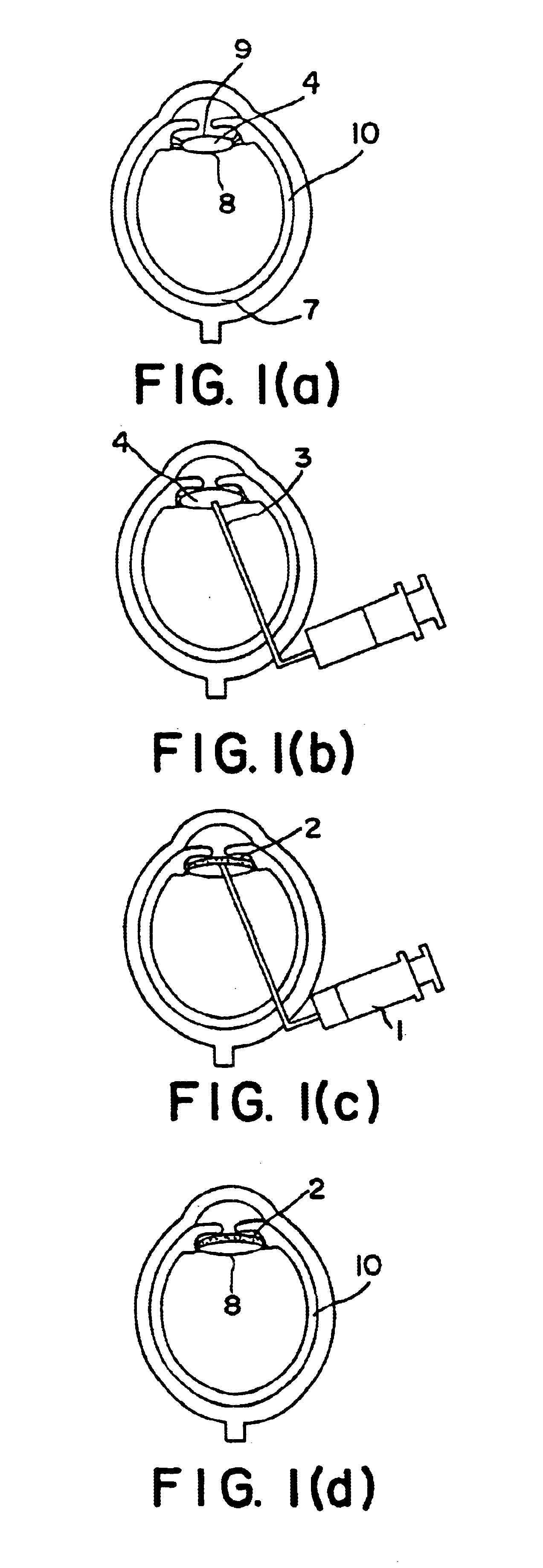 Model for training of surgical operation of cataract