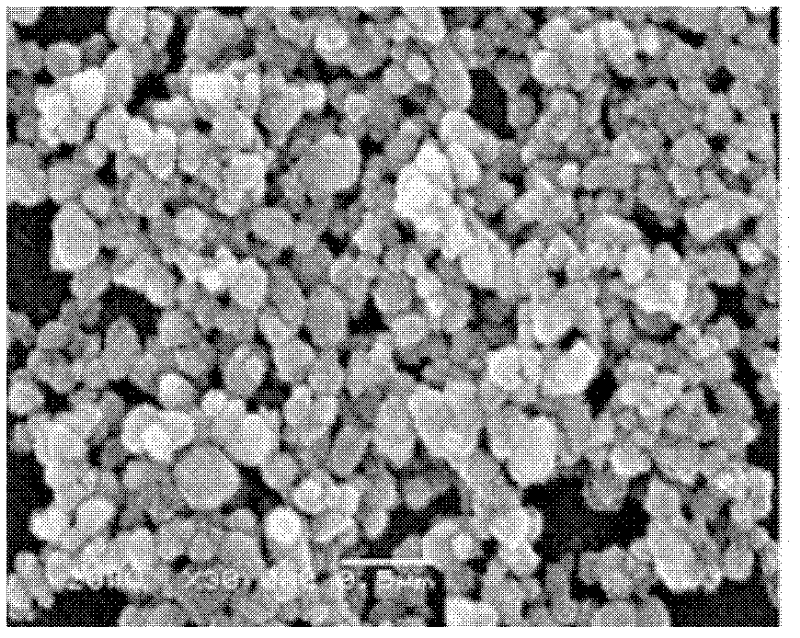 Method for producing gadolinium vanadate thulium blue luminescent material modified by glucose