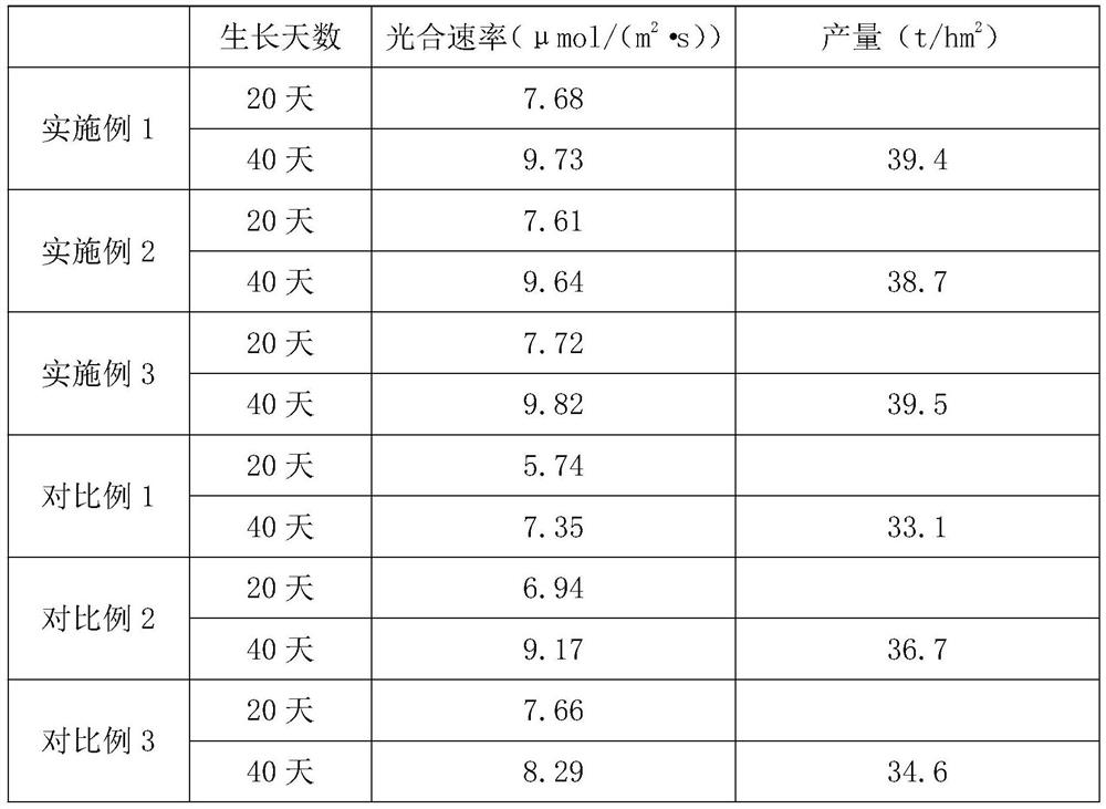 Preparation method of slow-release photosynthetic promoting compound fertilizer