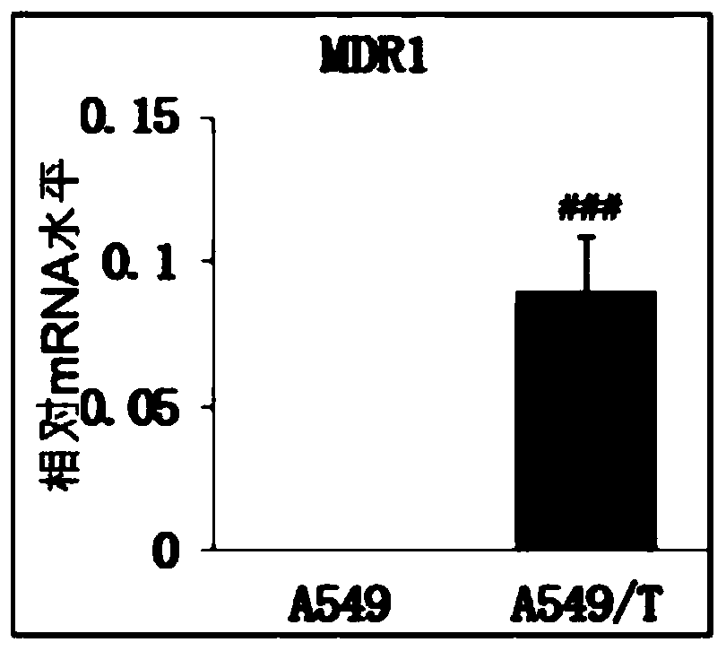 Application of compounds in preparation of drugs for treating multi-drug resistant cancers