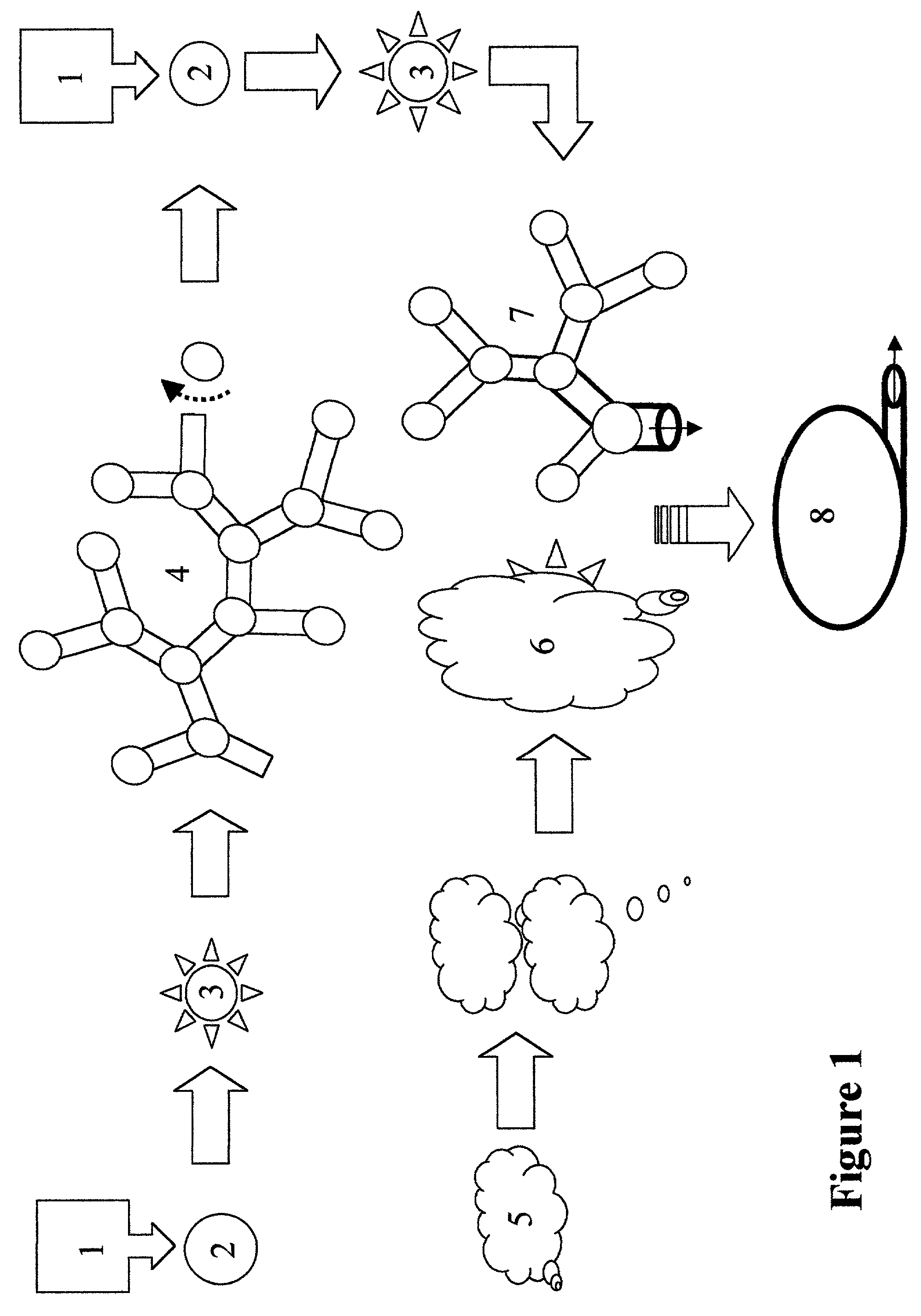 Method of forming vascularized kidney tissue