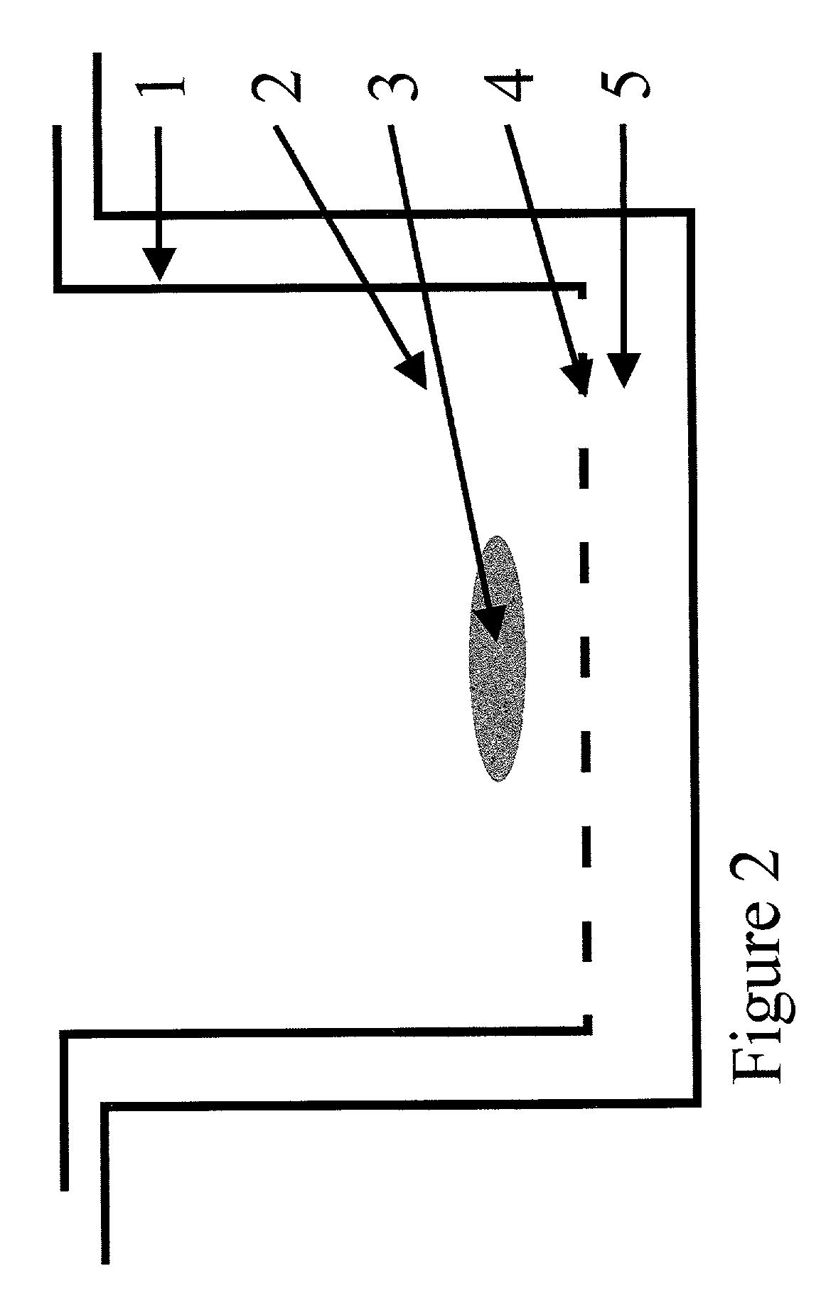 Method of forming vascularized kidney tissue