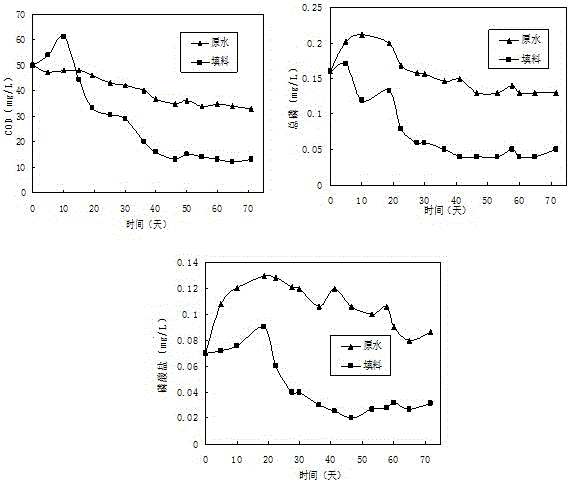 A kind of multi-channel biological filler and its preparation method and application