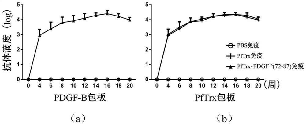 A platelet-derived growth factor recombinant vaccine for treating pulmonary fibrosis and its application