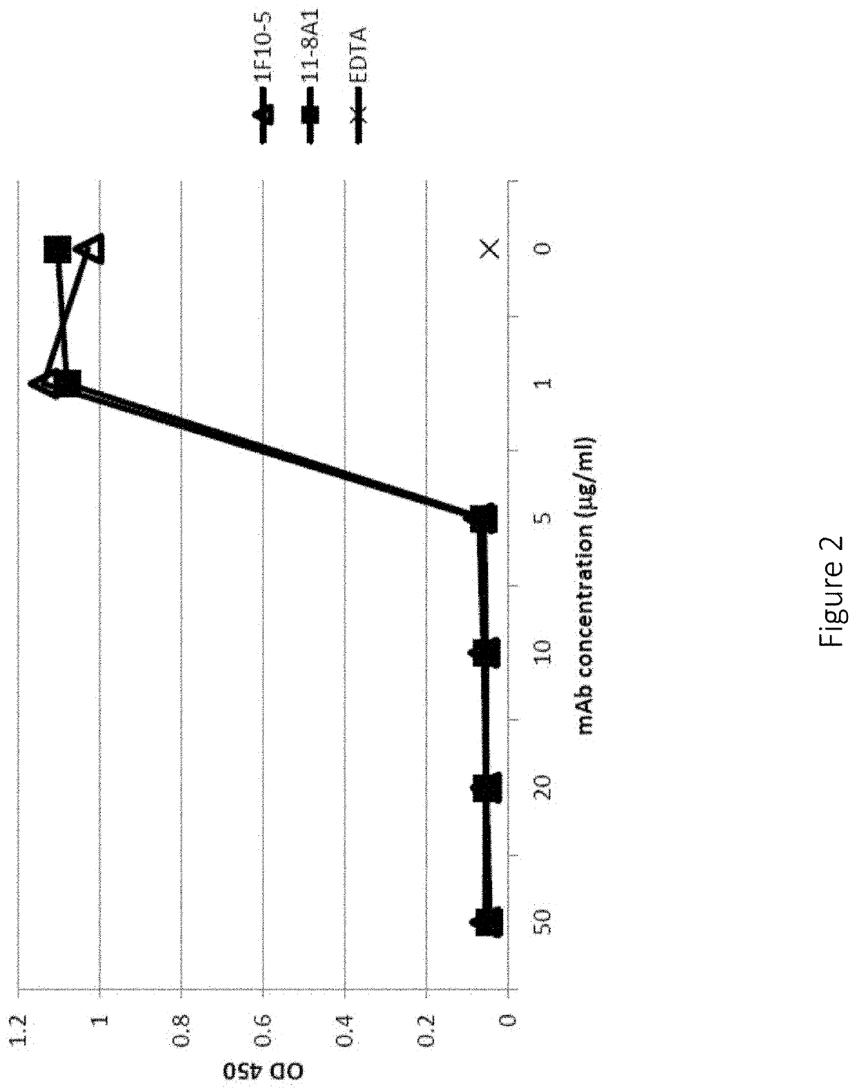 Anti-factor d antibodies and uses thereof