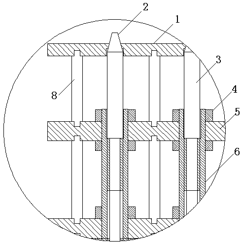 Protective safety net