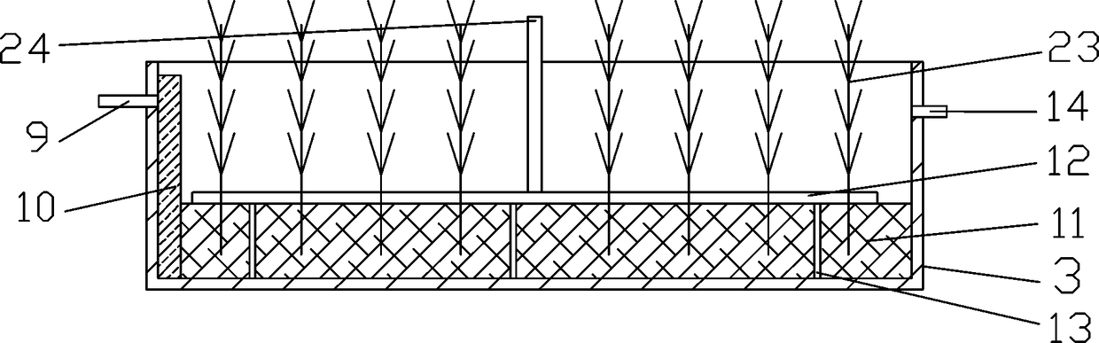 Artificial wetland system of sponge city