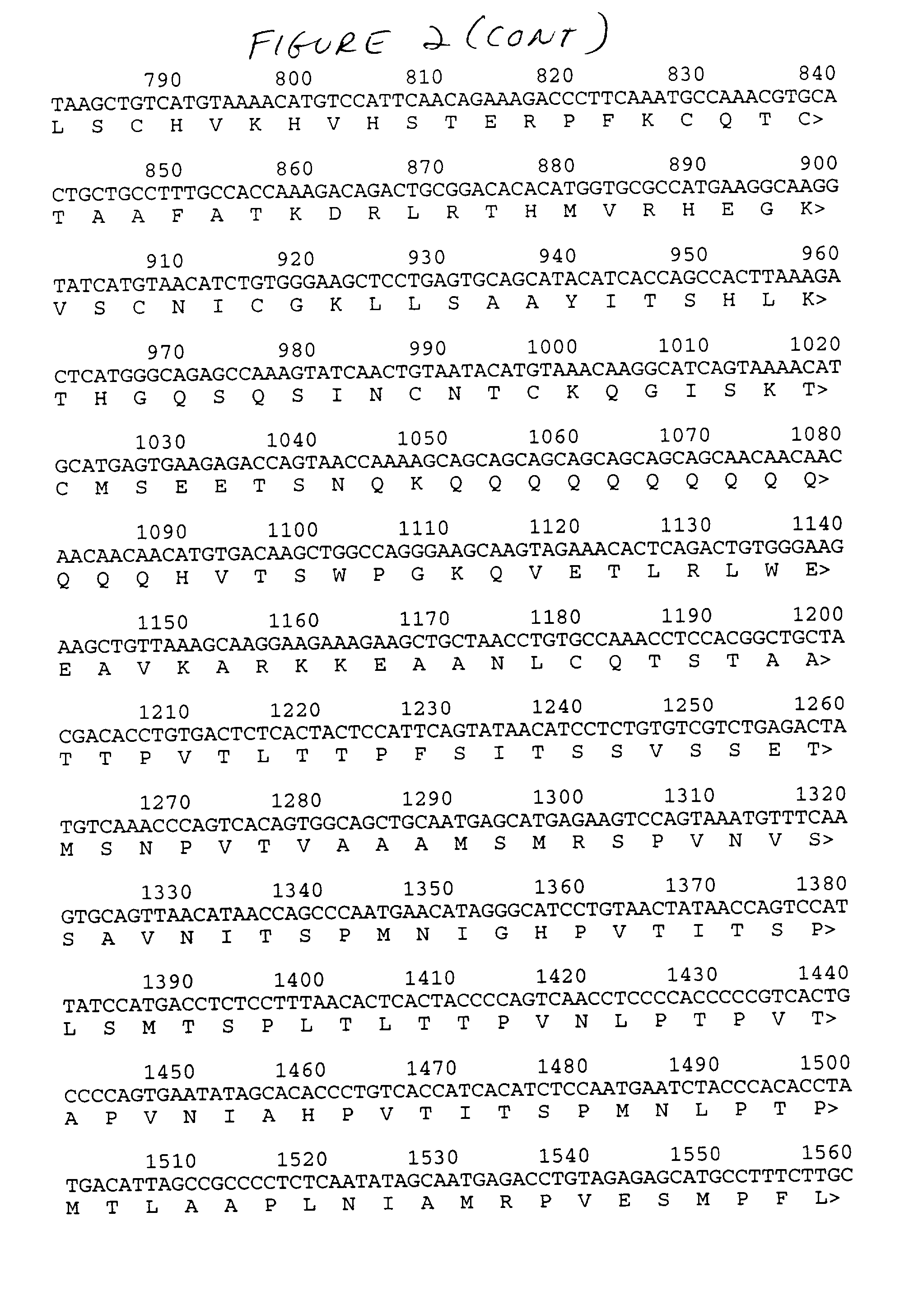 Vascular endothelial zinc finger 1 gene and protein and uses thereof