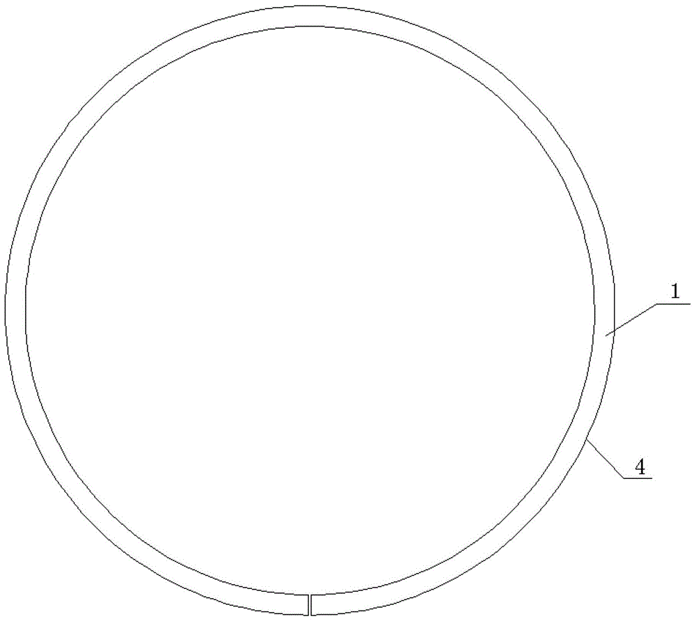 piston ring