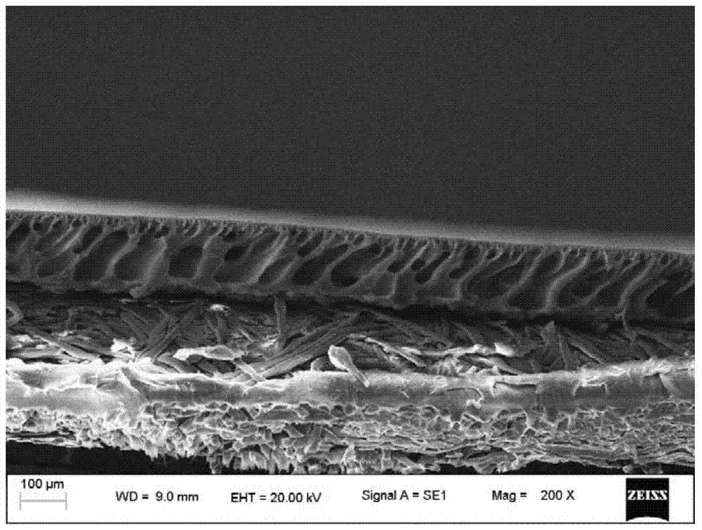 A self-cleaning polyvinylidene fluoride microporous membrane and its preparation method