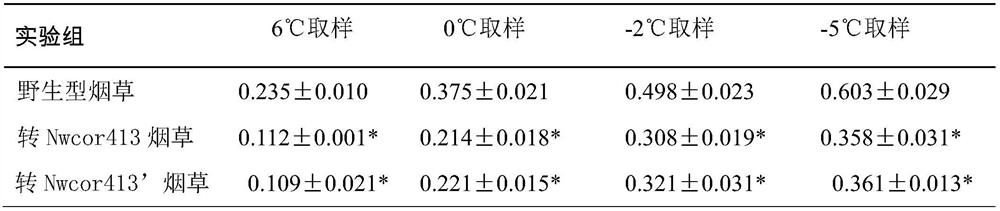 Nepenthes wcor413-like protein and its application