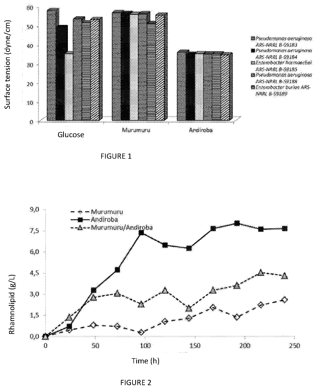 Process for producing a rhamnolipid produced by pseudomonas or enterobacter using andiroba or murumuru seed waste