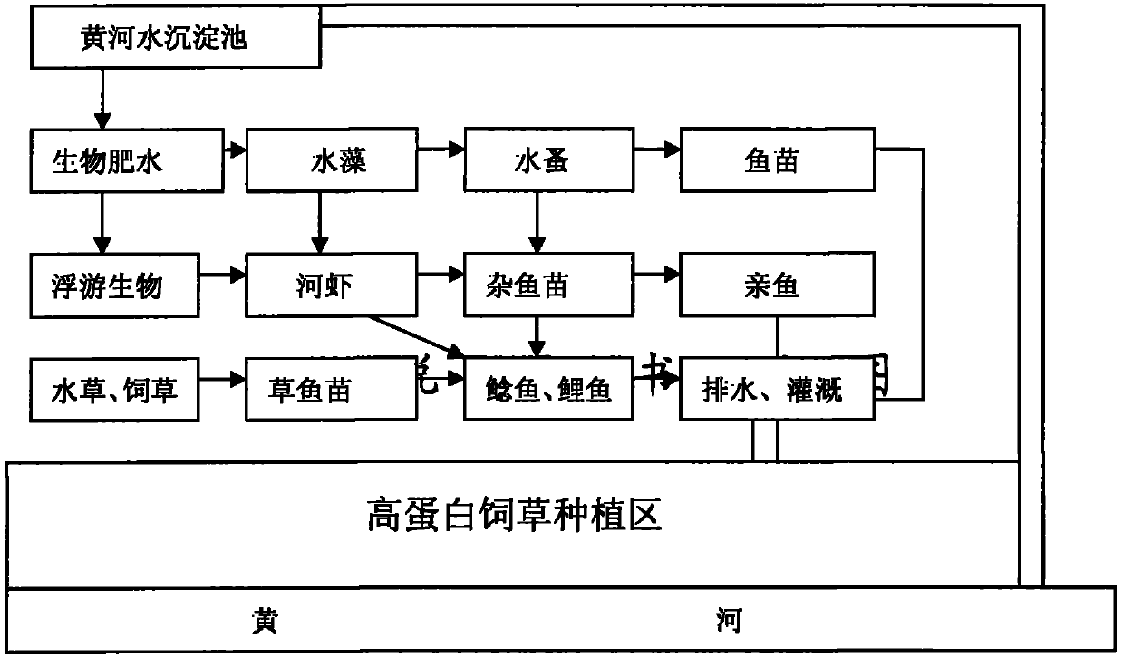 Method for ecosystem breeding of wild the Yellow River catfish and carp