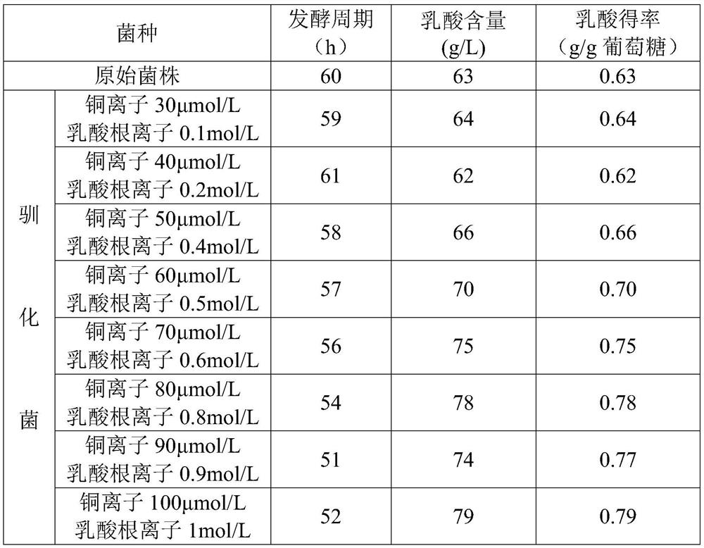 Method for domesticating rhizopus oryzae and method for producing lactic acid