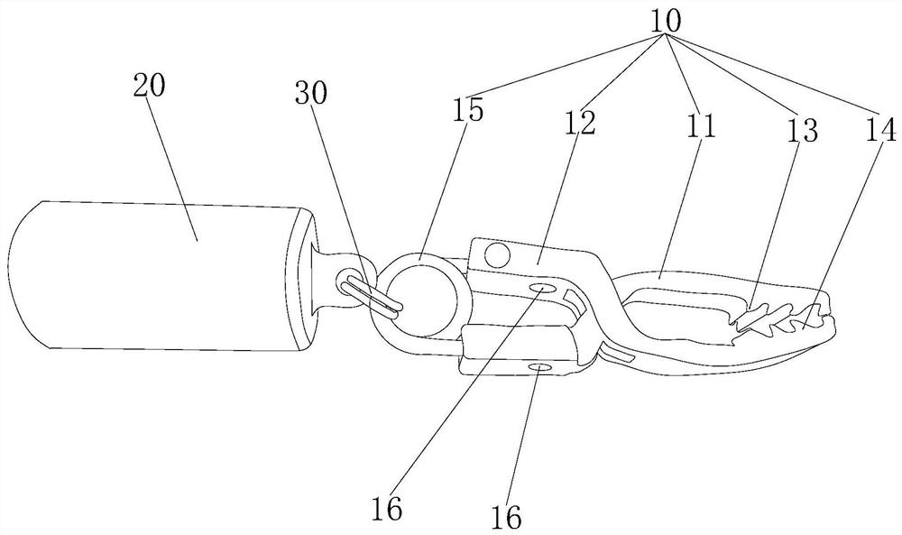 Tissue clamp assembly and clamp forceps