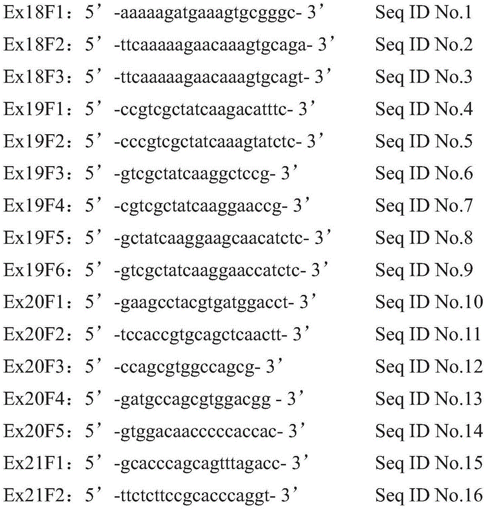 Kit for detecting EGFR gene mutation and application of kit