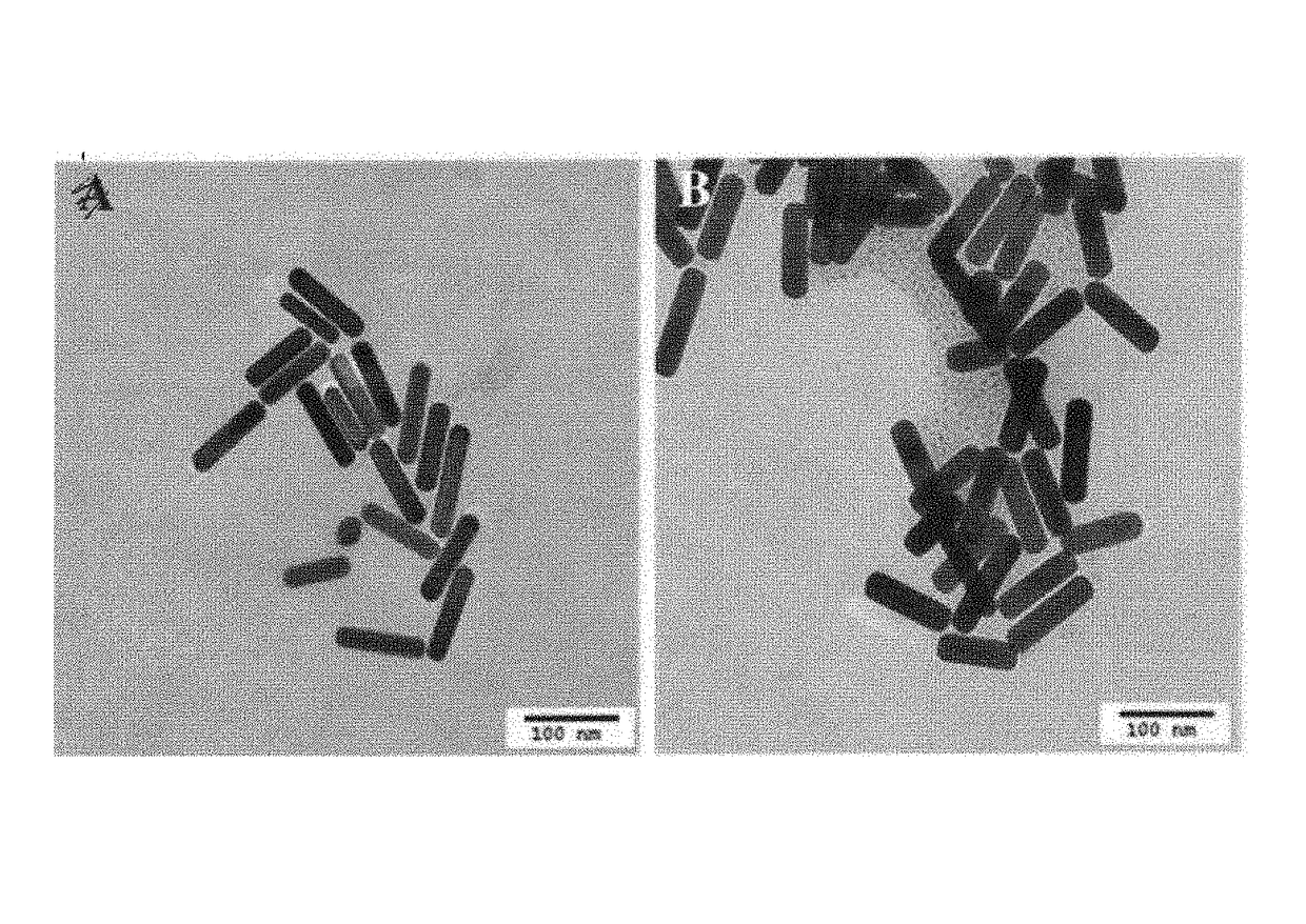 MTAB-TA-Coated gold nanorods and method of fabrication