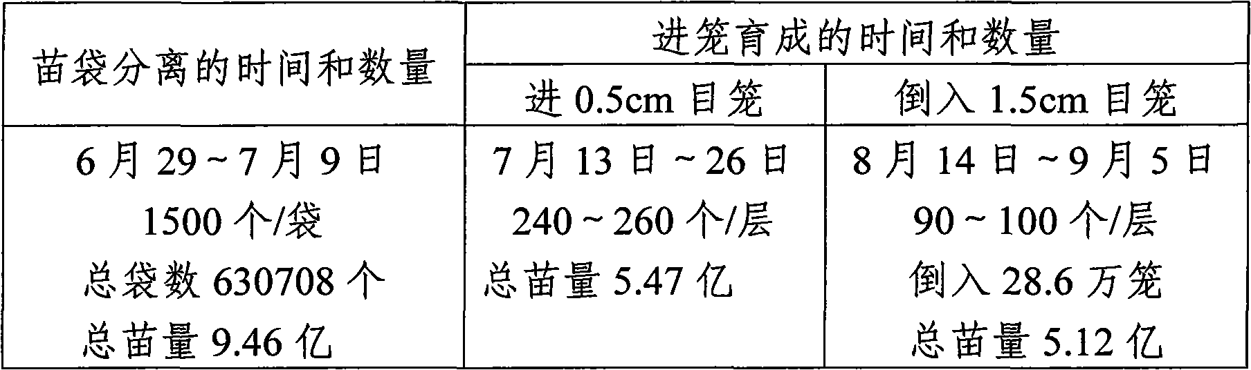 Patinopecten yesoensis natural seedling intermediate rearing method