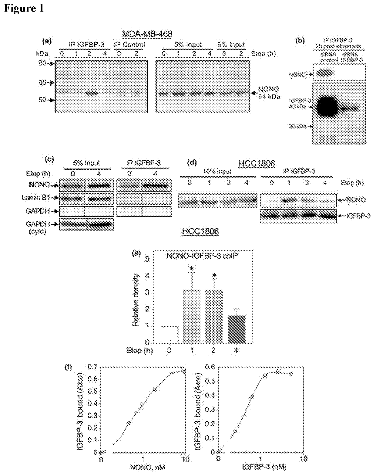 Inhibitors and Use Thereof in Cancer Treatment