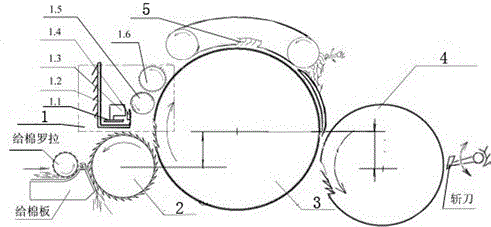 Three-dimensional multi-point coarse wool and impurity removing and carding method and device