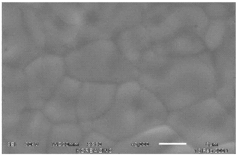 Foam iron and manufacturing method thereof