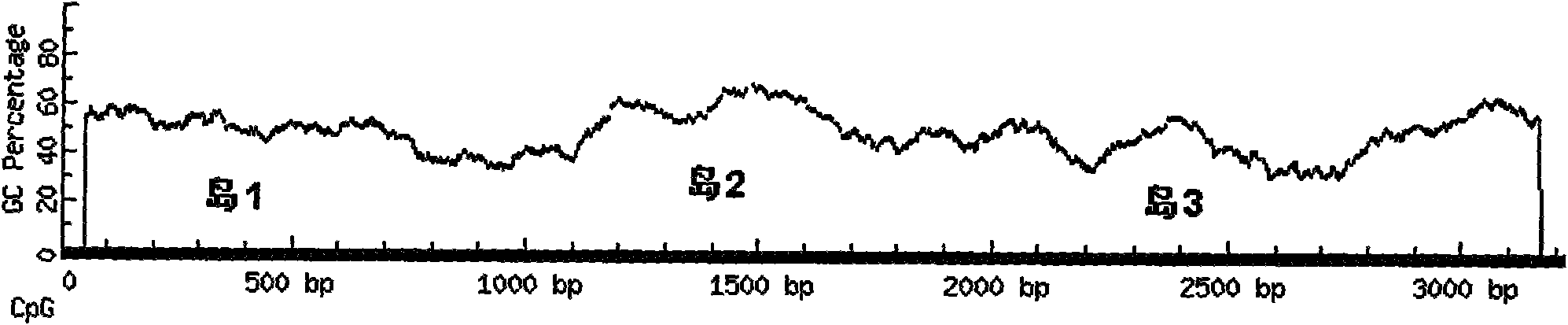 CpG methylated oligodeoxynucleotide for inhibiting replication of hepatitis b virus (HBV)