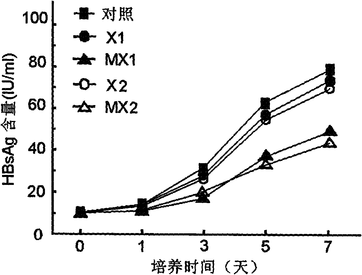 CpG methylated oligodeoxynucleotide for inhibiting replication of hepatitis b virus (HBV)