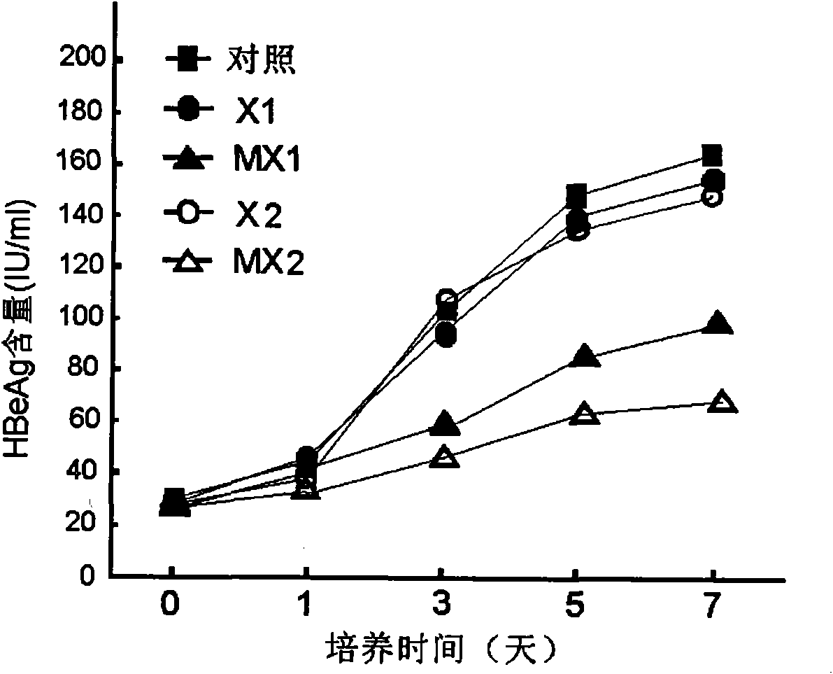 CpG methylated oligodeoxynucleotide for inhibiting replication of hepatitis b virus (HBV)