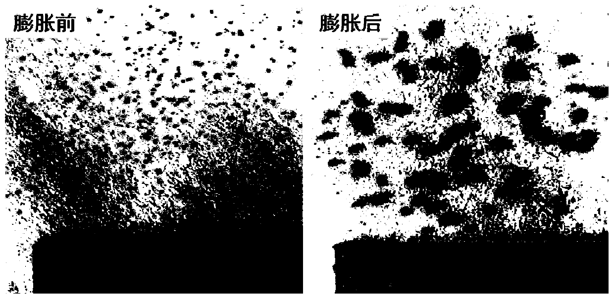 Low-temperature expandable graphite suitable for steam injection channeling sealing of heavy oil reservoirs and preparation method and application of low-temperature expandable graphite