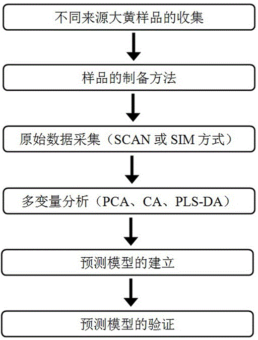 Building method for rhubarb medicinal material trueness/falseness and species prediction model