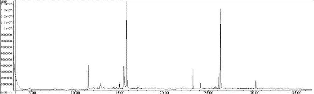 Building method for rhubarb medicinal material trueness/falseness and species prediction model