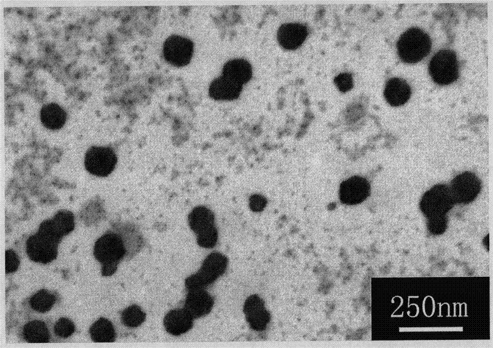 Preparation method of chitosan oligosaccharide nanoparticle