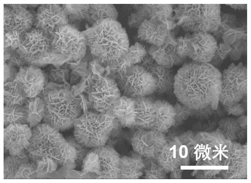 Preparation method and application of dopamine/calcium phosphate hybrid micron flower