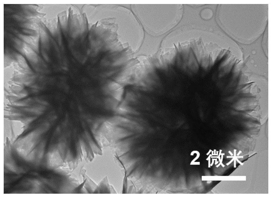 Preparation method and application of dopamine/calcium phosphate hybrid micron flower