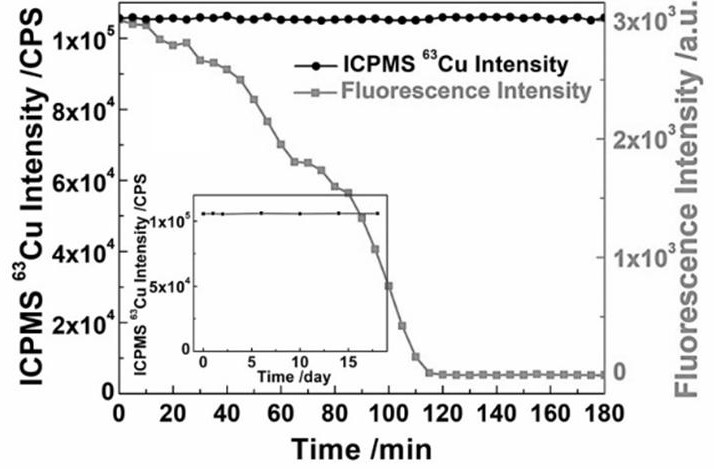 Label-free nuclease analysis method based on stable isotope detection