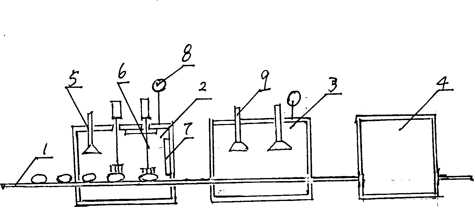 Automatic coneying, sterilizing and bacterial system for egg