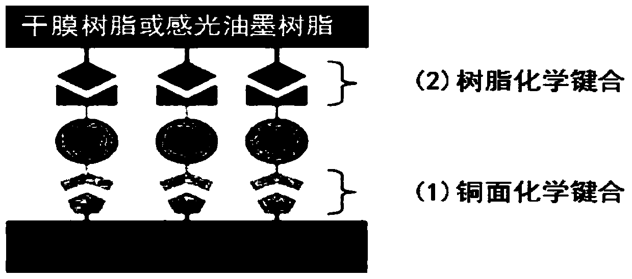 Copper surface adhesion modifier, and preparation method and application thereof