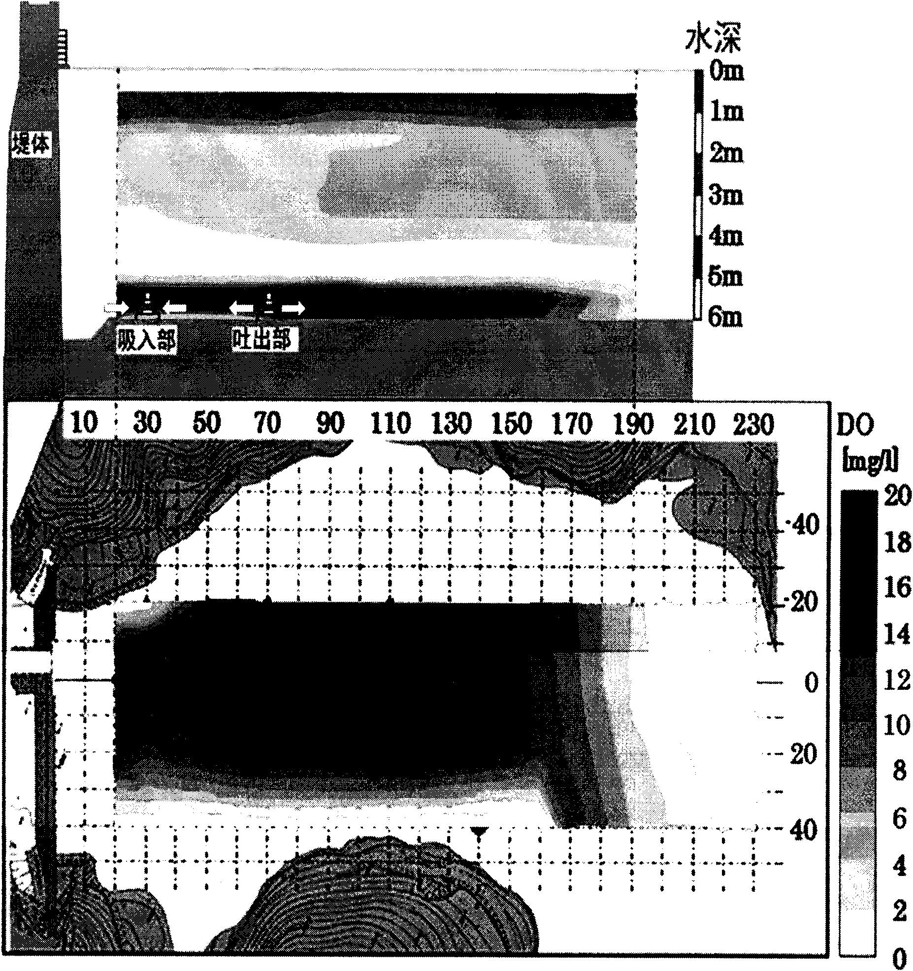 Submerged type bubble-free high-efficiency oxygenated water body restoration system