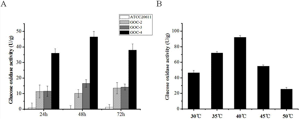 Glucose oxidase-expressing fructooligosaccharide-synthesizing engineered strain, and its construction method and application